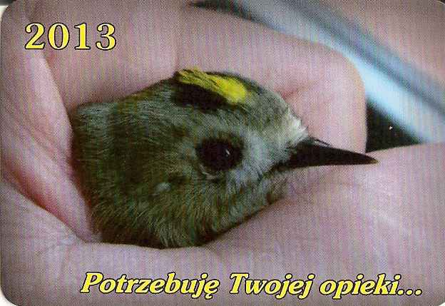 Kalendarzyk kieszonkowy na 2013 r.