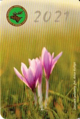 CCF20210226er-1